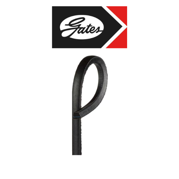 C108 V Belt - Jason