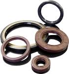 458510-DL Oil Seal - DMR