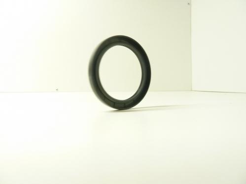 658510DL Oil Seal - DMR
