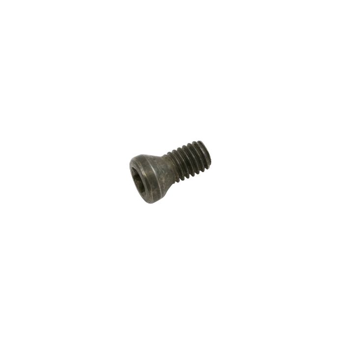 MS1155 M3.5 x 0.60 - T15 Torx